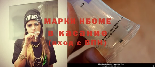 мдпв Лагань