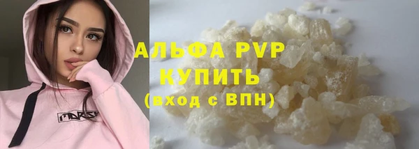 амф Щигры