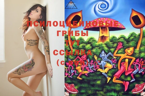 эйфоретик Ладушкин
