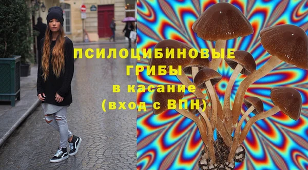 эйфоретик Ладушкин